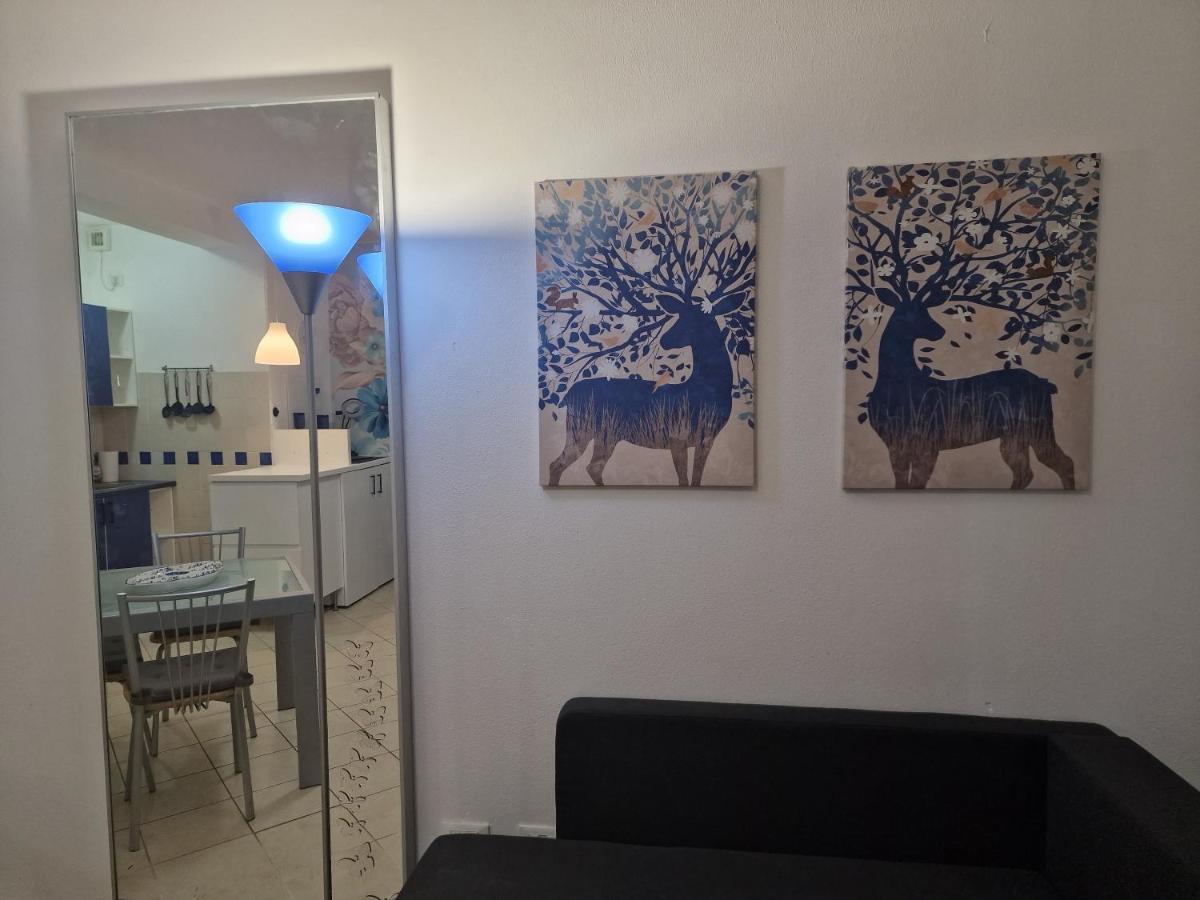 Casa Mon Amour 利沃诺 外观 照片